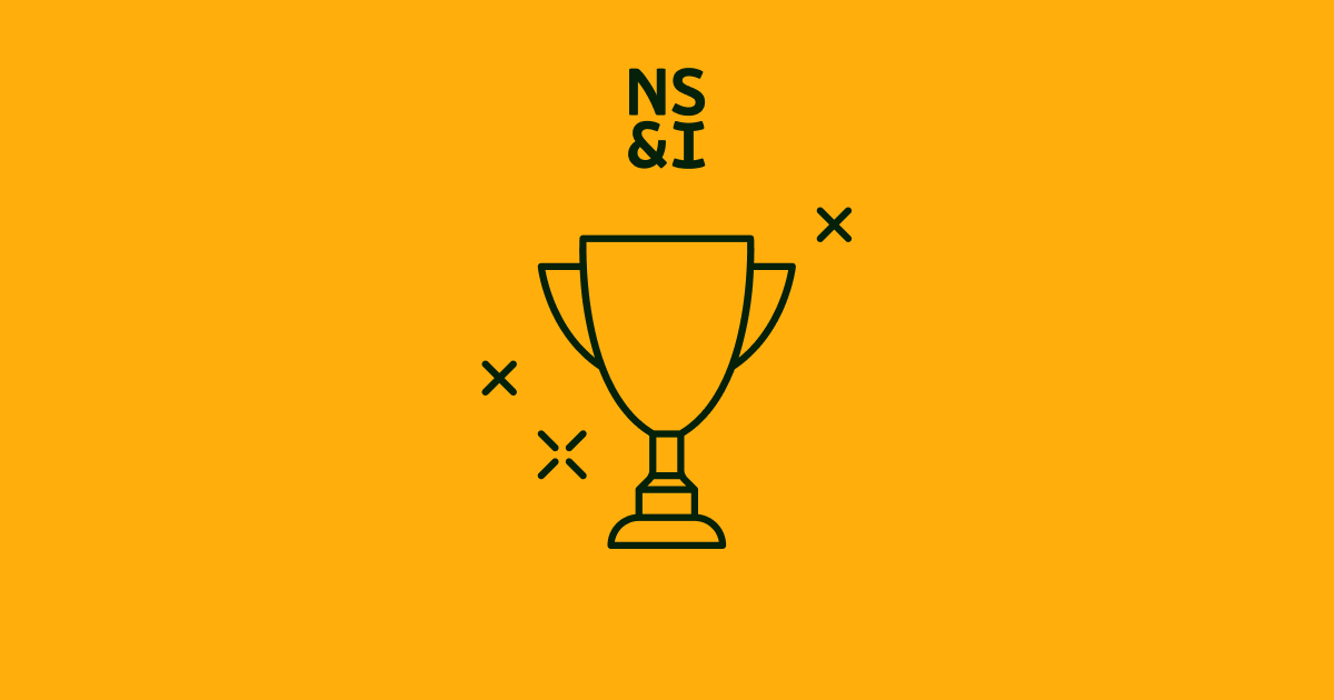 www.nsandi.com